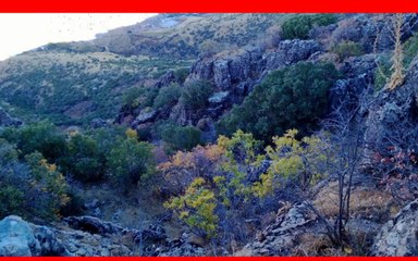 ريبر هبون , إيقاع الحيرة , بصوت بنار كوباني