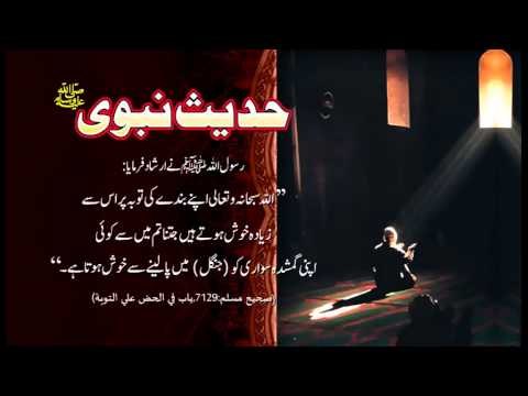 Bande Ki Tauba | Hadees With Urdu Translation | Hadees Of The Day | Mobitising | Thar Production