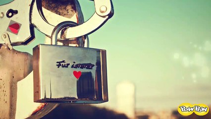 Love in life Animation movie