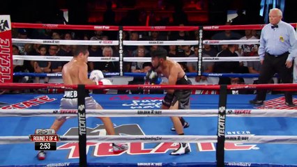 boxer heating wounder ful