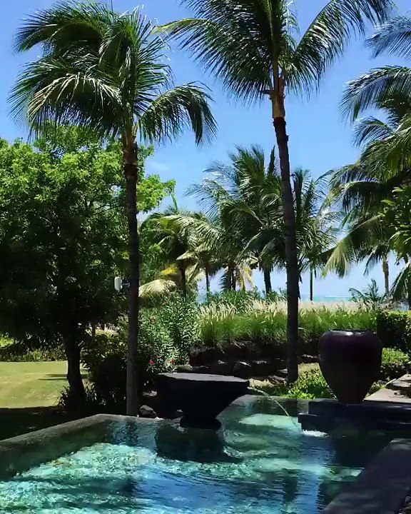 le paradis