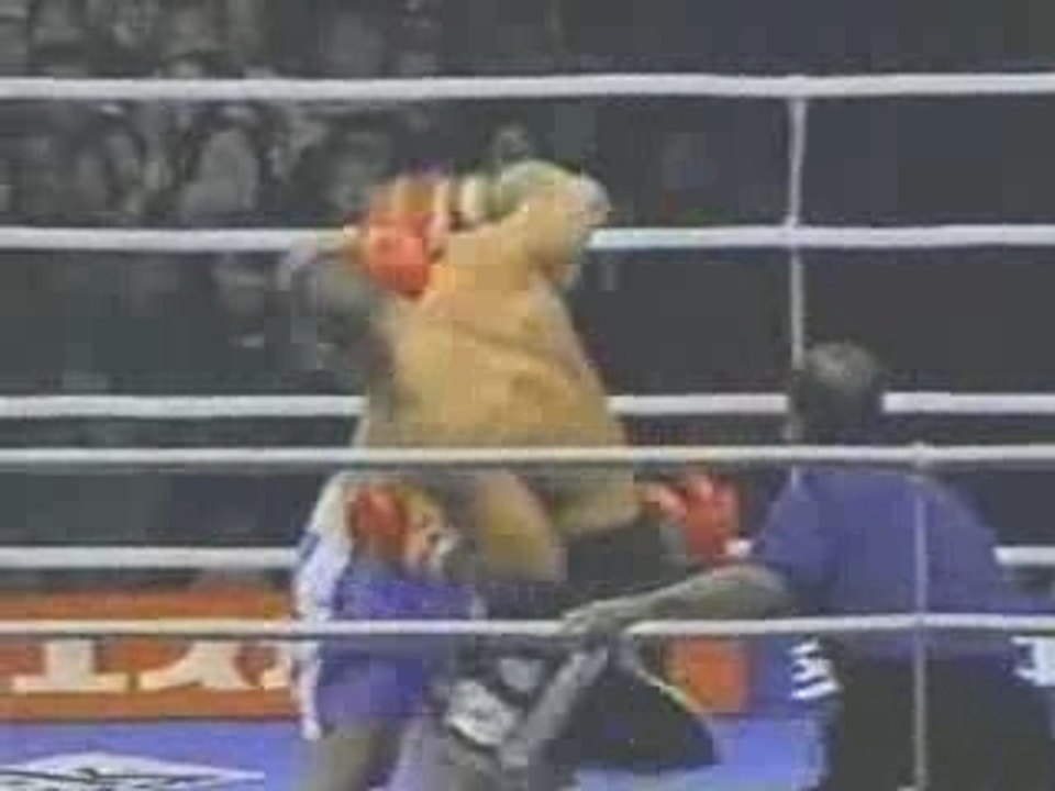 Mark Hunt v Jerome Le Banner II