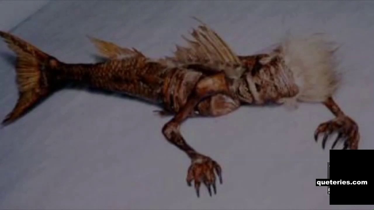 sirenas reales encontradas