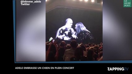 Adele embrasse un chien en plein concert (Vidéo)
