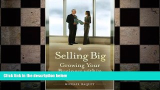 FREE DOWNLOAD  Selling Big: Growing Your Business within Large Companies READ ONLINE