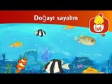 Doğayı sayalım - Balıklar, Luli TV