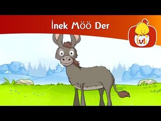 İnek Möö Der - Eşek, Luli TV