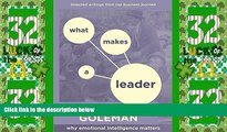 Big Deals  What Makes a Leader: Why Emotional Intelligence Matters  Best Seller Books Most Wanted