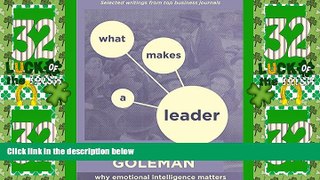 Big Deals  What Makes a Leader: Why Emotional Intelligence Matters  Best Seller Books Most Wanted