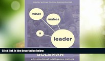 Big Deals  What Makes a Leader: Why Emotional Intelligence Matters  Free Full Read Best Seller