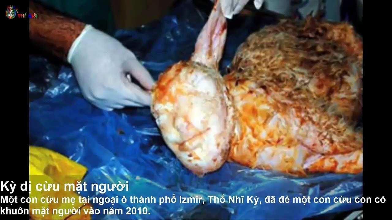 [Top 10 lạ kỳ] Những sinh vật đột biến Gen lạ nhất thế giới