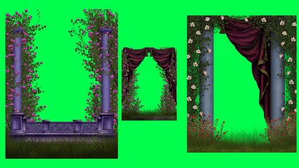 Free Roses Green Screen Video 6
