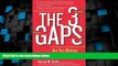 Big Deals  The 3 Gaps: Are You Making a Difference?  Free Full Read Best Seller
