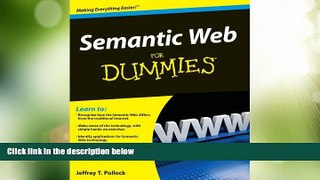 Big Deals  Semantic Web For Dummies  Free Full Read Best Seller