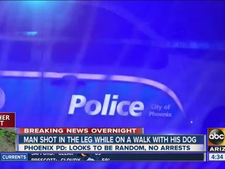 Phoenix PD: Man walking dog shot by unknown suspect