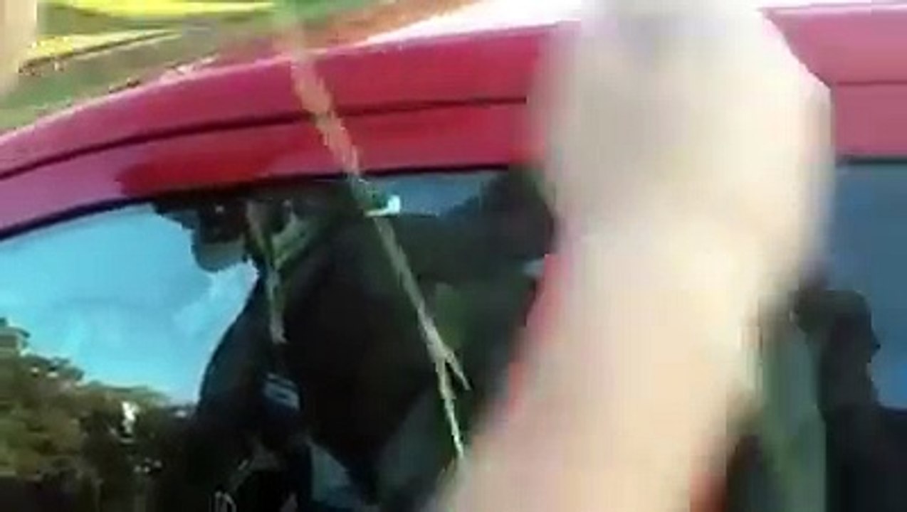 Lock Opening trick