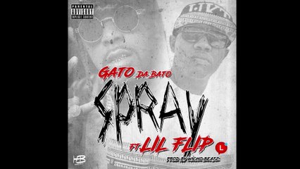 GATO ft. LIL FLIP - Spray (Audio)
