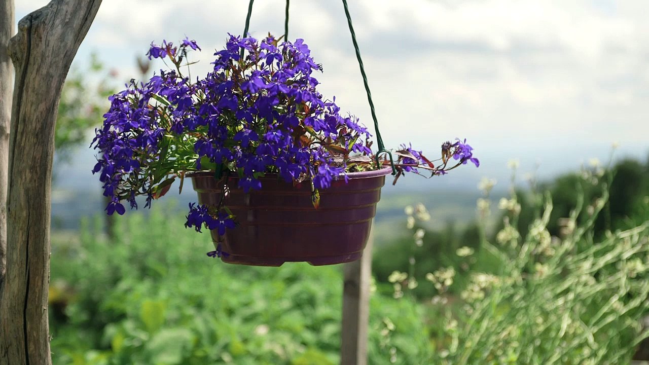 Bienvenue dans mon jardin au naturel 2016 - La permaculture