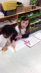 Apple Montessori Peer to Peer Learning Environment