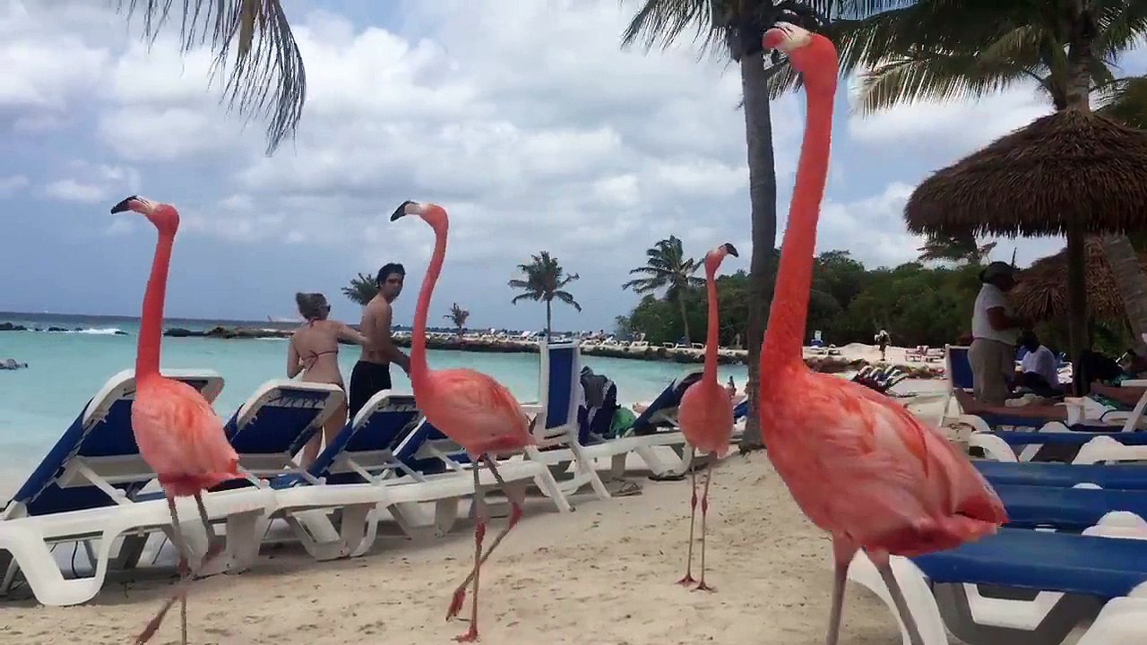 Marlou et Jess, après une nuit arrosée !!!