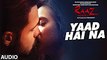 YAAD HAI NA Full Audio   Raaz Reboot   Arijit Singh   Emraan Hashmi, Kriti Kharbanda, Gaurav Arora