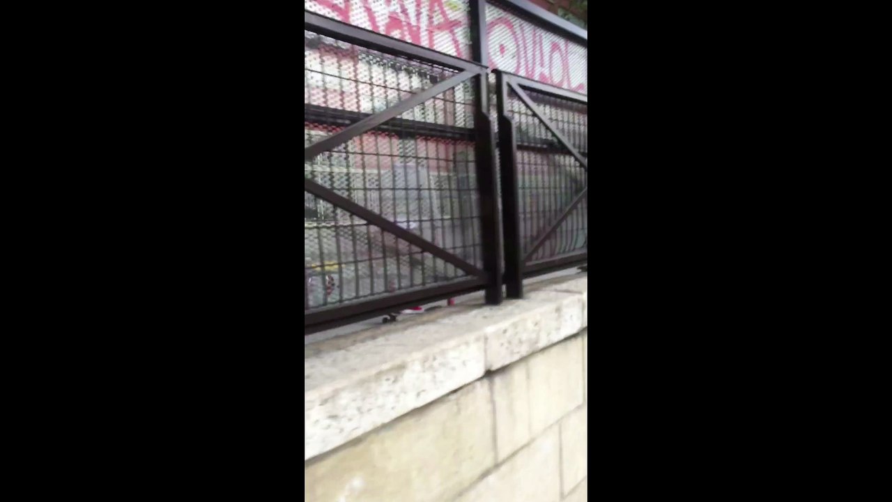 Hippo - Au Skatepark