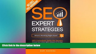 READ book  SEO Expert Strategies: SEO Consultant Spills His Secrets - Discover How To Rank