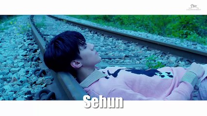 EXO M - LOVE ME RIGHT MV names/members