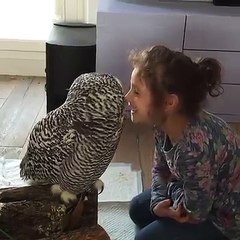 mp4 funny so funny//must see./