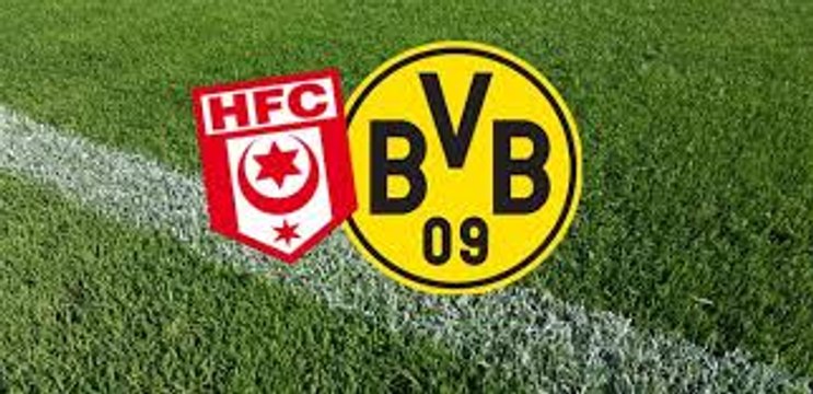 Borussia Dortmund 3-0 Hallescher FC - All Goals & Full Highlights HD - 23.08.2016
