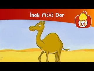 İnek Möö Der - Deve, Luli TV