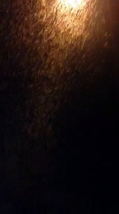 Nuage d'éphémères à Saint Astier