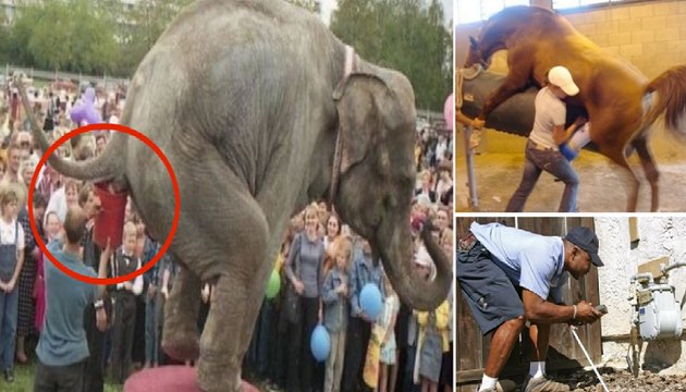 10 Worst Jobs to Have And You Think Your Job Sucks