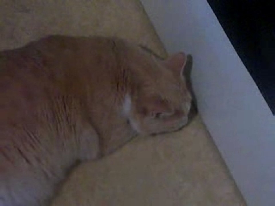 Toi ... Mon roii
