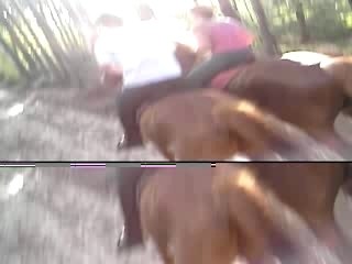 Galop foret d'angervilliers