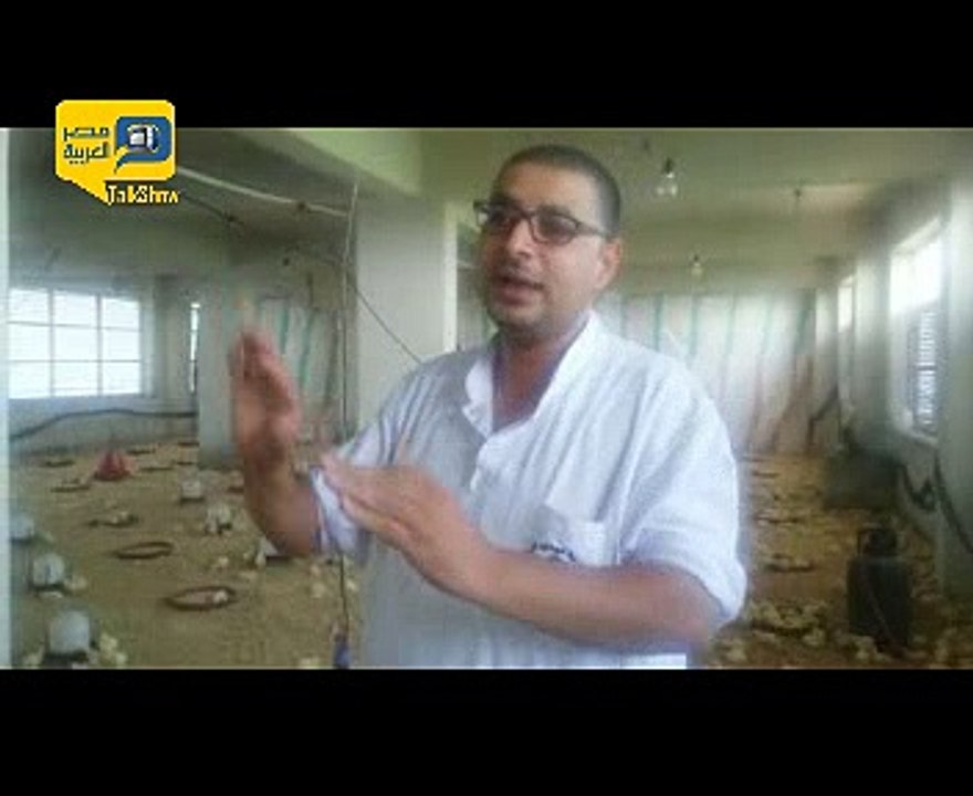 تحصينات الدواجن .. "موت وخراب ديار"