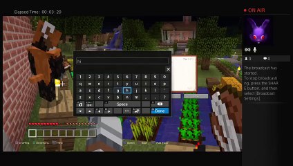 Minecraft role play (34)
