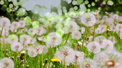 Dış hemoroidin özellikleri nelerdir?