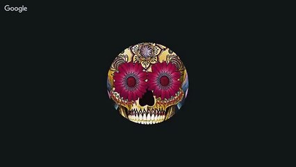 telecronaca roma porto