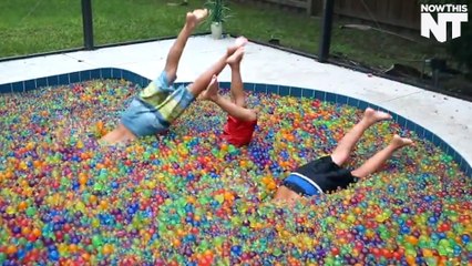 Everyone Is Filling Their Pools And Bathtubs With Orbeez