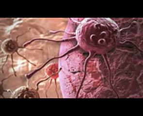 25 Unsolved Scientific Mysteries That Will Leave You Scratching Your Head[1]