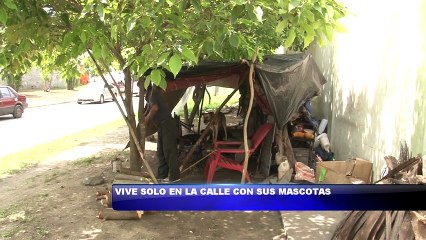 Vive en la calle acompañado de sus mascotas