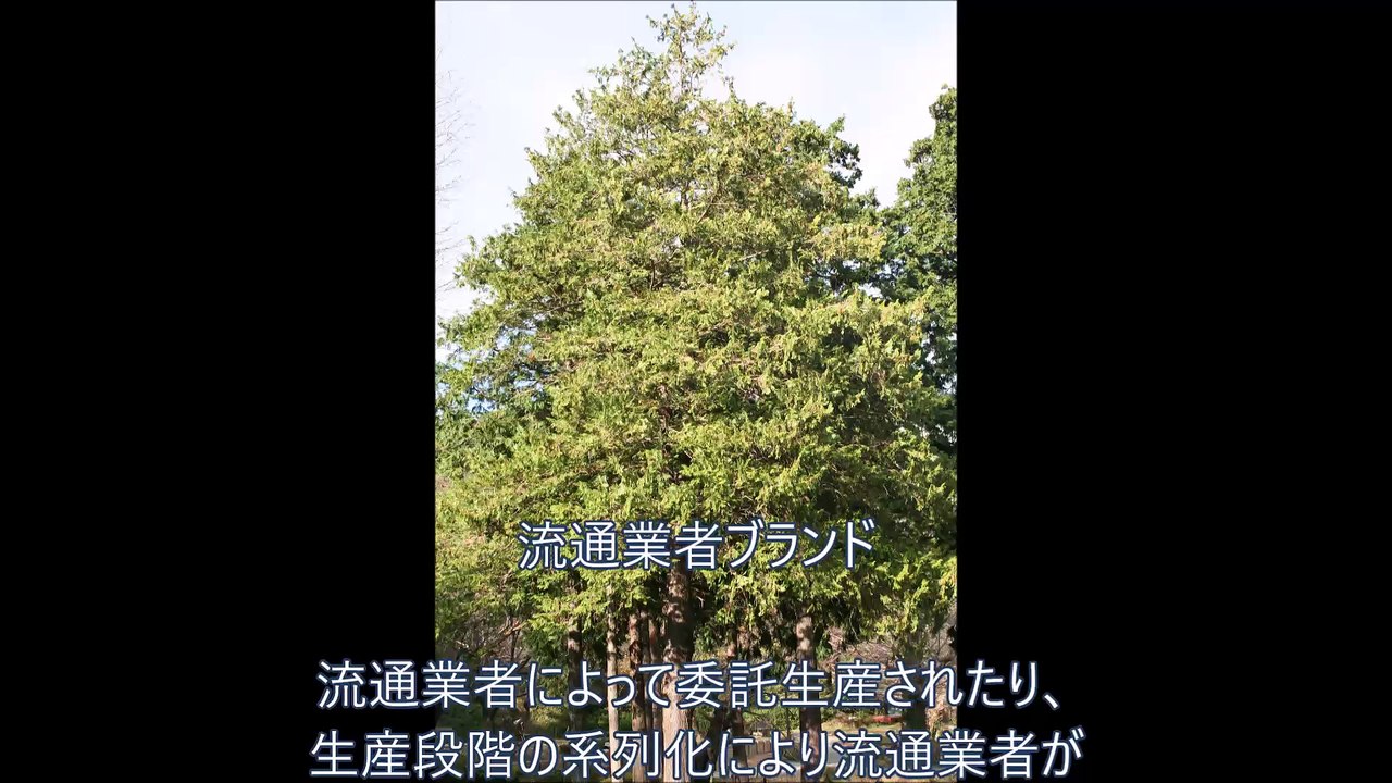 流通業者ブランド～JDPアセットマネジメント資産管理用語集