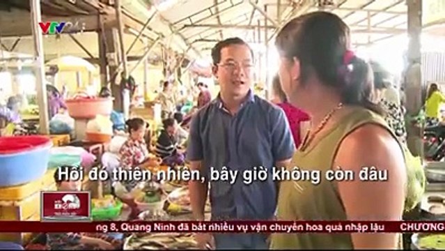 Một loại bột dùng để tạo màu cho các giống cá cảnh giờ lại được sử dụng để tạo màu cho cá trê. Phải chăng cá trê sắp được nuôi để làm cảnh hay có một tác dụng khác?