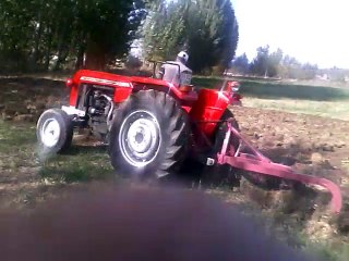 efsane tarla sürüyor