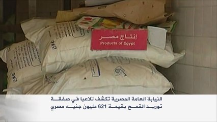 مخزون قمح وهمي في مصر يقدر بمليوني طن