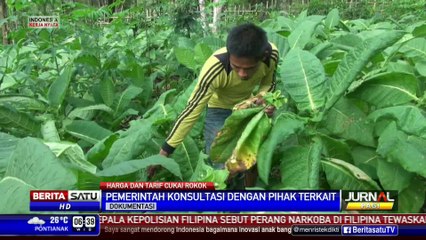 Download Video: Menkeu Pastikan Tarif Cukai Rokok Tidak Melebihi 57 Persen