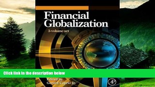 Must Have  Handbooks in Financial Globalization  READ Ebook Full Ebook Free