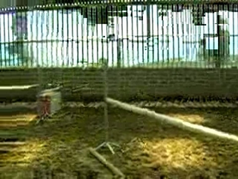 Nat et dédé qui fait le con