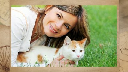 Luxury Cat Boarding & Clinic in Palm Beach County